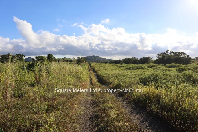 Terrain agricole de 2 111 m² à vendre à Melrose (Mandat exclusif)
