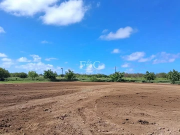 Land