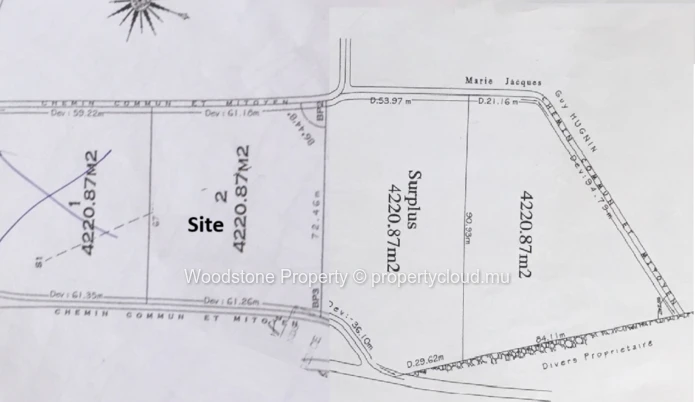 La Salette Plot