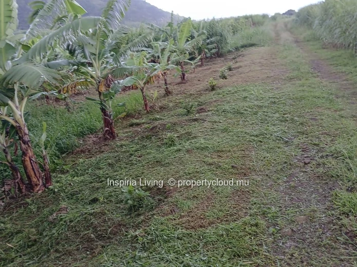 Farm for sale in Chamouny — Sea & Mountain Views