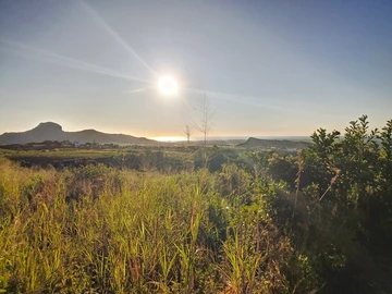 Land