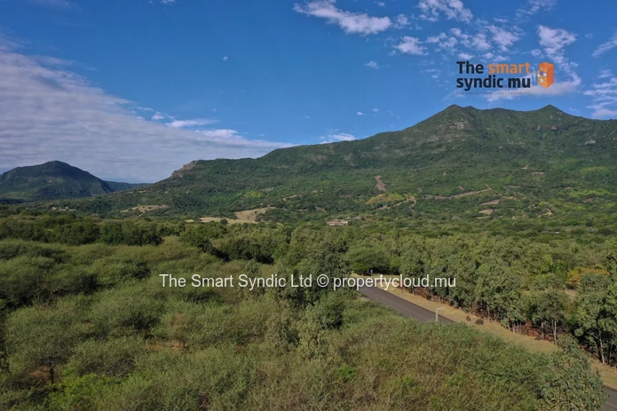 Luxury 4-Bedroom Villas – A Refined Living Experience in the Heart of Nature