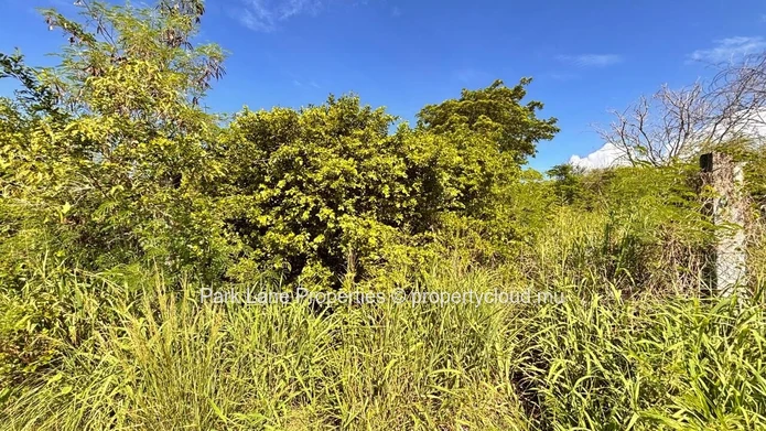 À vendre – Terrain résidentiel de 4 206 m² à Petit Raffray