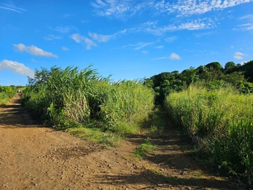 Terrain Agricole
