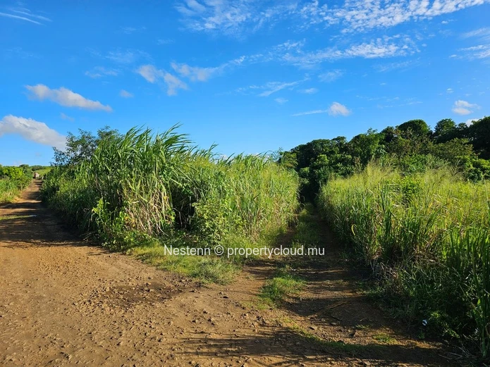 Terrain agricole bien situé 