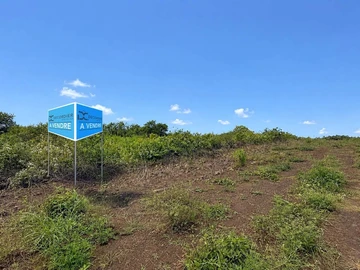 Terrain