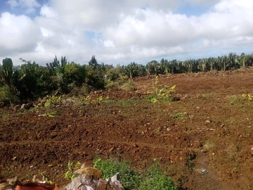 Agricultural Land