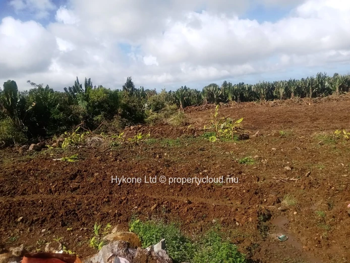 Terrain Agricole En Vente À Beau Climat