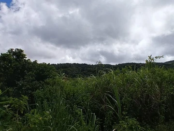 Terrain Agricole