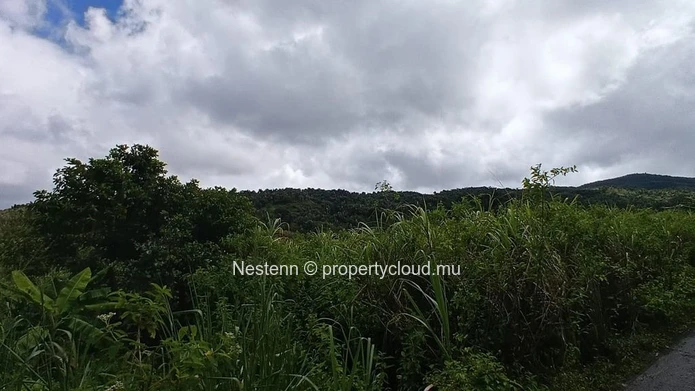 Terrain agricole exceptionnel de 4221 m² à Chamouny
