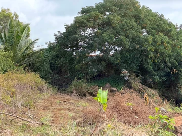 Residential Land