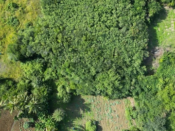 Residential Land