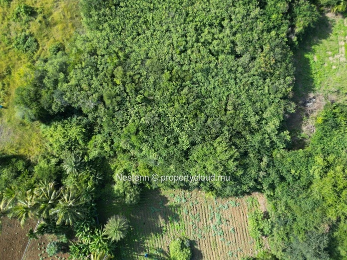 Terrain exceptionnel de 675,35 m² 
