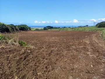 Agricultural Land