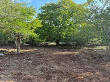 Residential Land