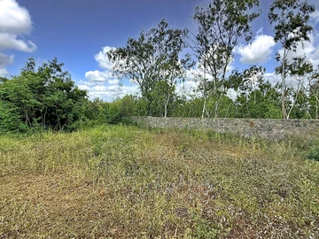 Terrain