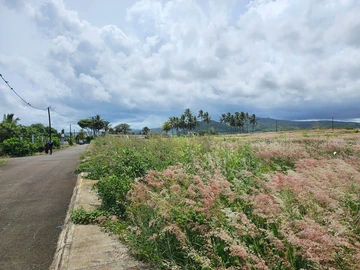 Residential Land