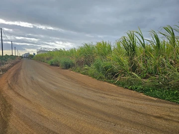 Land