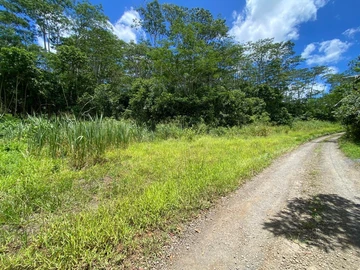 Agricultural Land