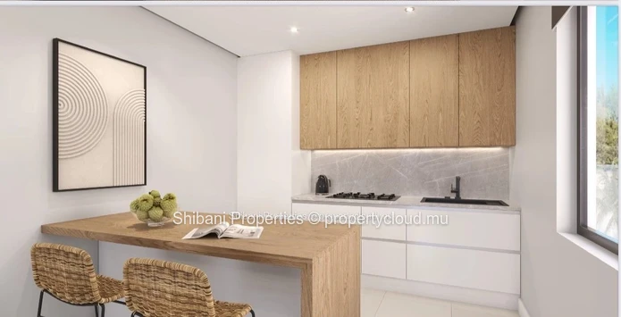 Appartement à Vendre – Emplacement Idéal à Flic en Flac !