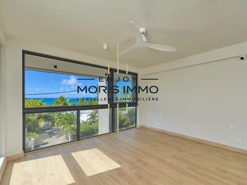 4 Bedroom Apartment