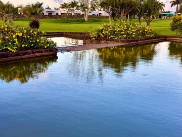 Residential Land