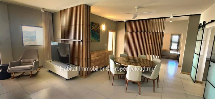 Magnifique penthouse situé à la frontière entre Sodnac et Phoenix 