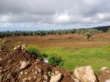 Agricultural Land