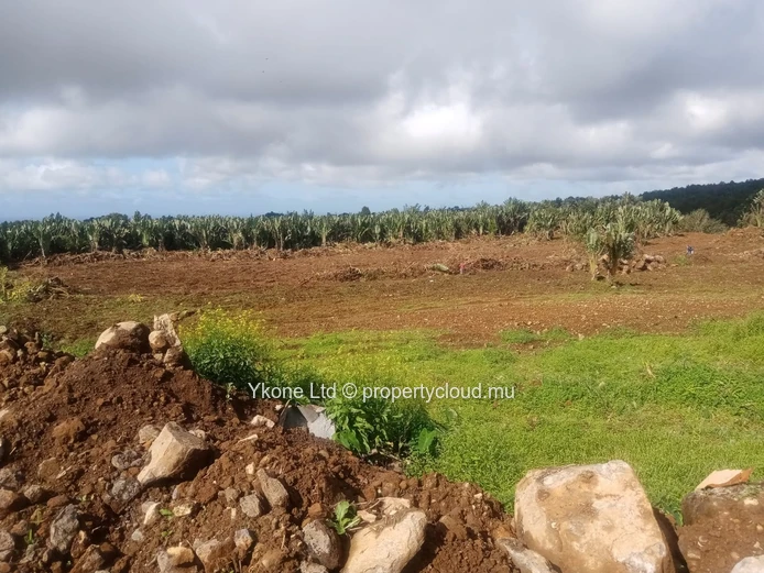Terrain Agricole En Vente À Beau Climat