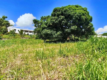 Land