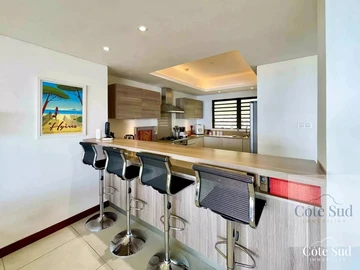 3 Bedroom Penthouse