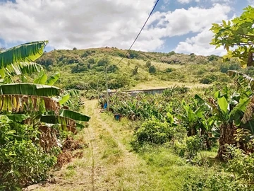 Agricultural Farm For Sale In Brisée Verdi