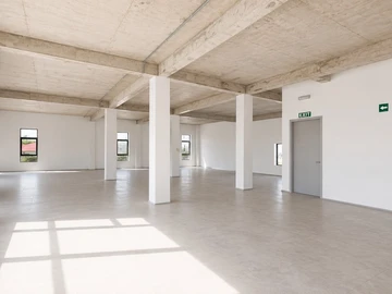 Immobilier Commerciaux