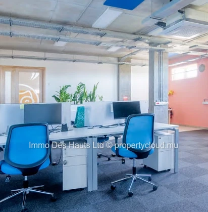 Office space for rent Pointe aux Canonniers 