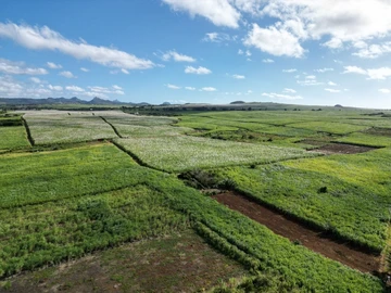 Terrain Résidentiel