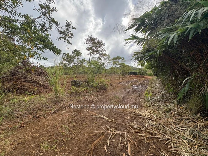 One-of-a-kind elevated agricultural plot with spectacular sea, river & mountain views of 4,405.49m² 