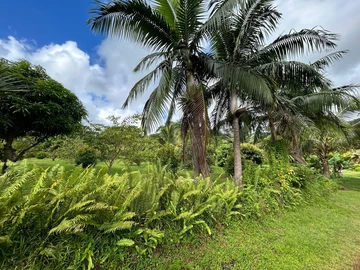 Terrain