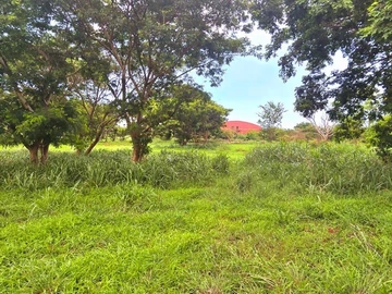 Agricultural Land