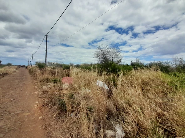 Agricultural Land