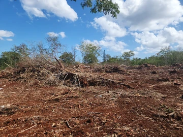 Residential Land