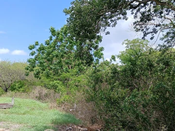 Terrain Résidentiel
