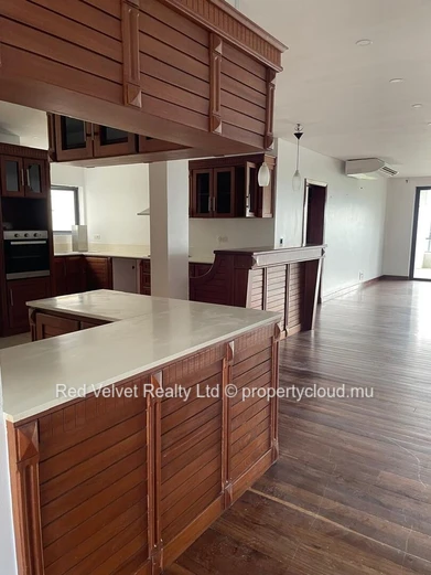 Spacious 300m² Penthouse with Terrace & Park Views