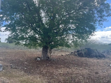 Residential Land