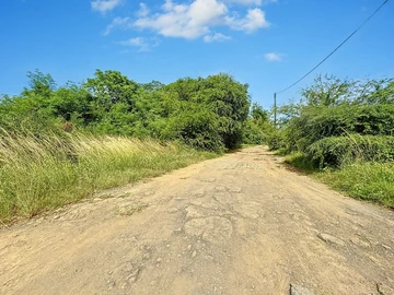 Terrain