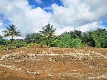 Agricultural Land