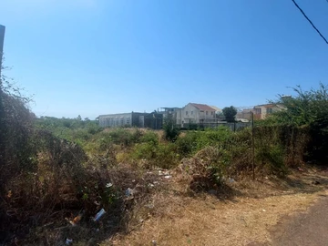 Terrain