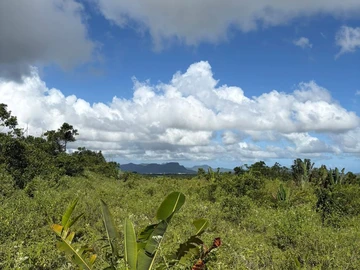 Agricultural Land