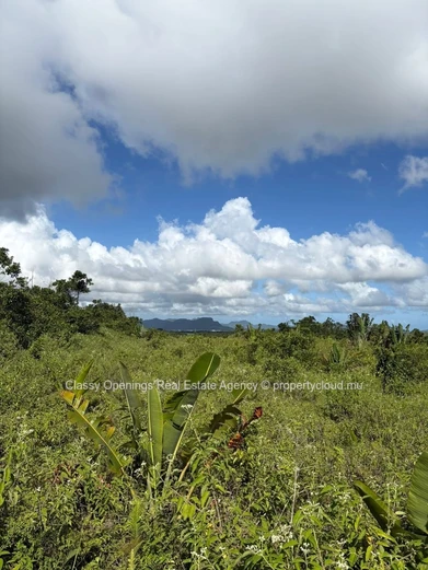 Terrain agricole 3,63 ha à Espérance — Sentier et vue montagne