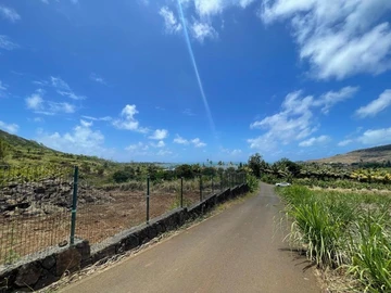 Agricultural Land