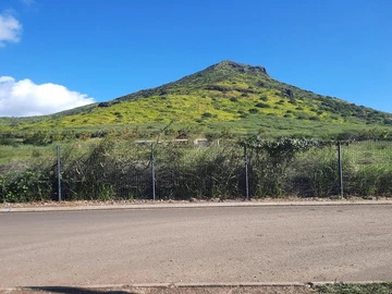 Residential Land